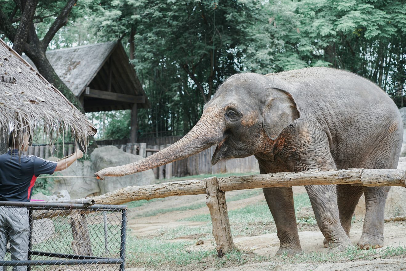 Zoo 1 - Pas Greece Tours